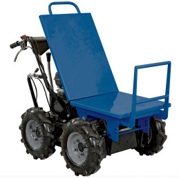 Plate forme plateforme SCHEPPACH 7908801702 pour mini dumper DP3000 /ATO3000 /MD300R Plate forme plateforme SCHEPPACH 7908801702 pour mini dumper DP3000 /ATO3000 /MD300R