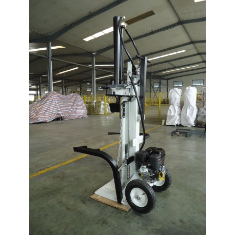 Moteur Briggs & Stratton 10ch Moteur Briggs & Stratton 10ch